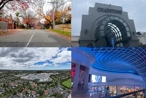 Pest Control Services Chadstone